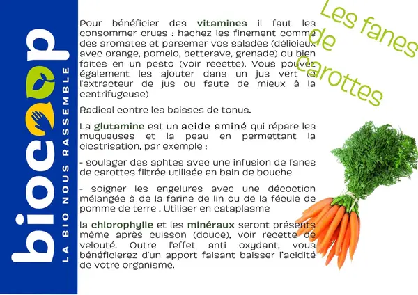 Velouté de fanes de légumes